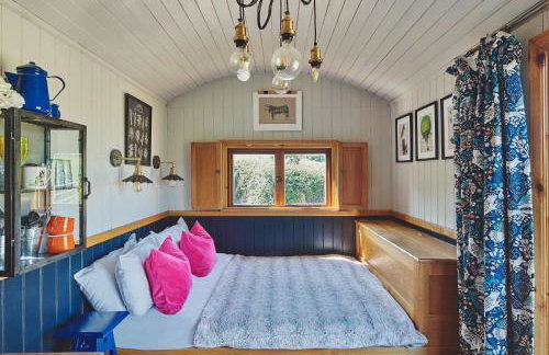 Curious Calf - Foto 4