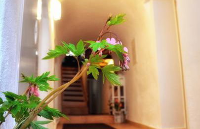 Apartments Altstadthaus Görlitz - Foto 1