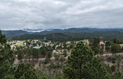 Robins Nest - Foto 33