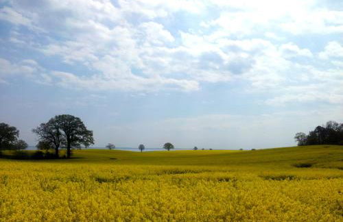 Haus Seeblick - Foto 37