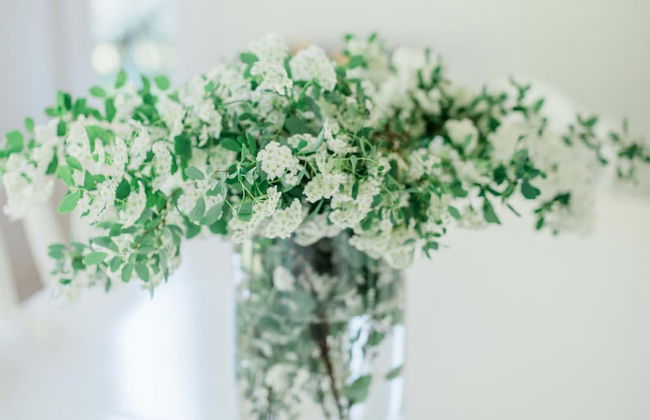 Bridgewalk Estate a Wanderlust Abodes Property - Foto 15