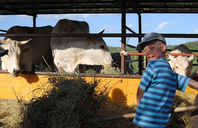 Fattoria Casabianca - Foto 25