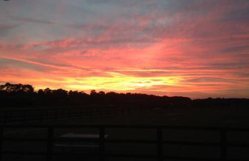 Barn Owl Lodge with Hot Tub - Adults Only - Foto 14