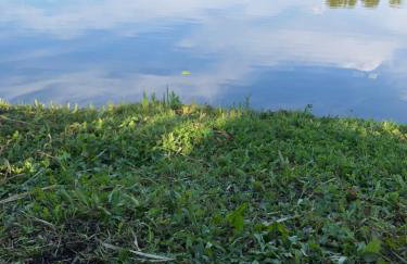 Apartament Maria - Foto 26