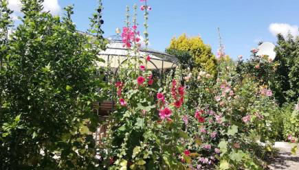 Ferienhaus Helge an der Schoritzer Wiek - Foto 3