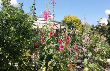 Ferienhaus Helge an der Schoritzer Wiek - Foto 3