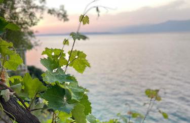 Seafront Vacation home "Tea" - Foto 31