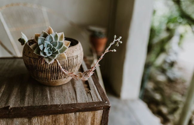 The Stables Cottages - Foto 53