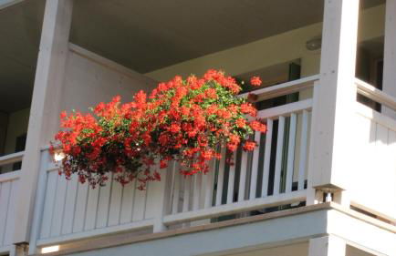 Apartment Valdisole - Foto 31