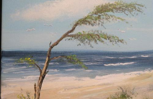 Sommerwind - Foto 14