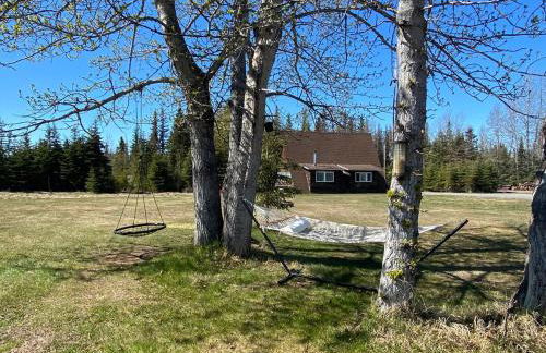 Big Moose Cabin at Moose Tracks - Foto 24