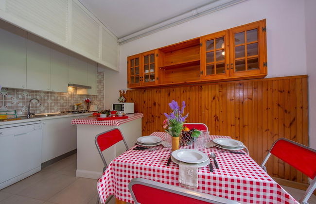 Rododendro Rosso - Foto 13