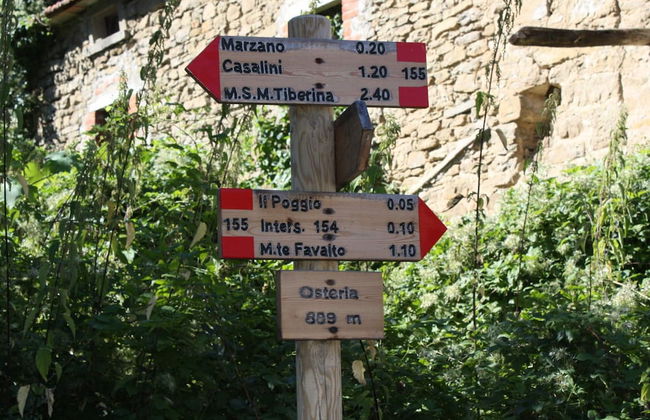 Farmhouse in Umbria Near Palazzo Bourbon - Foto 33