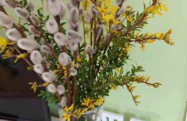 Cztery Pory Warmii Pluski pokoje do wynajęcia - Foto 36