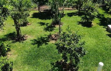 Refúgio na Serra Gaúcha - Foto 16