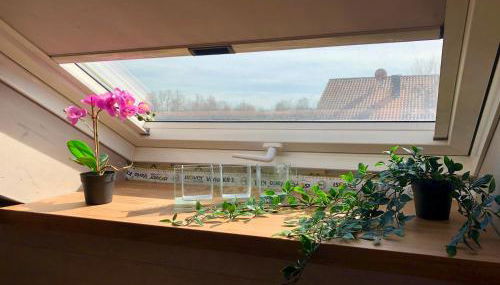 Gennachblick - Foto 2