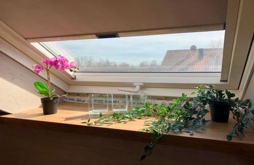 Gennachblick - Foto 2