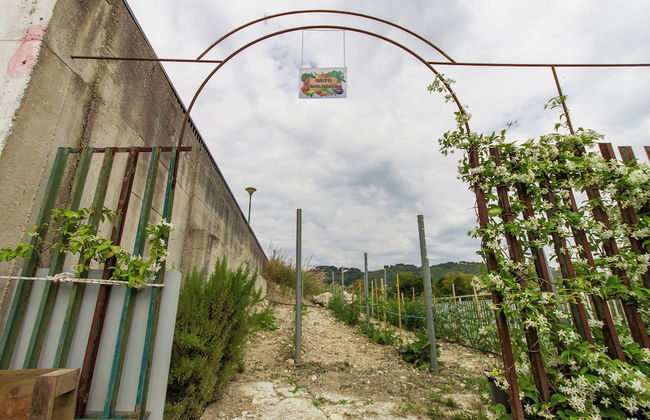 Villa Salemi With Pool - Foto 31