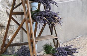 Maison Les Chênes - Jacuzzi - Calme & Idéalement situé - Clim - Salle de Jeux - Parking - Foto 64