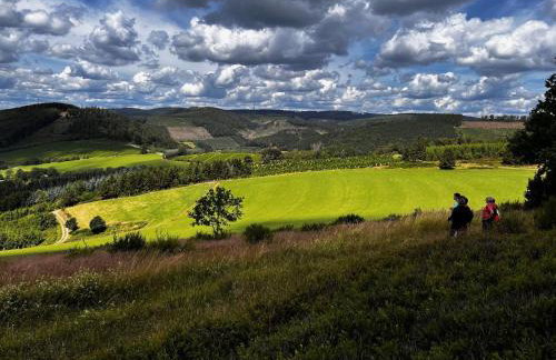 Conzen Hof am Hennesee - Foto 14