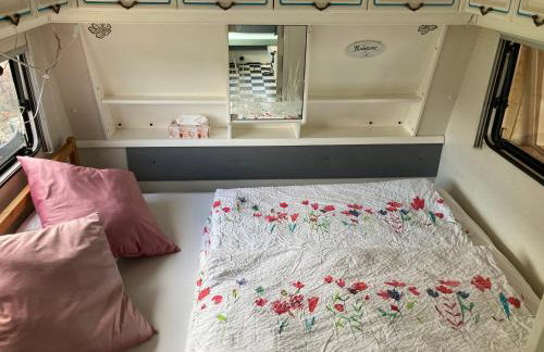 Tiny House Anneliese, Klimaanlage, E-Bikes, Hunde ok - Foto 16