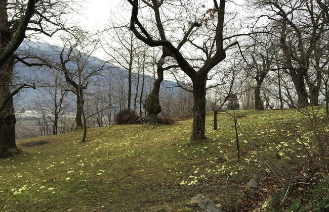 House Typical Of The Susa Valley - Photo 54