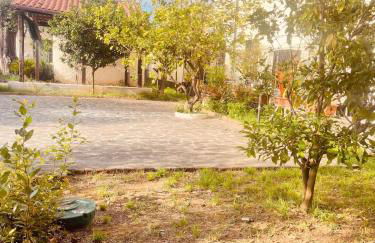 Villa Rosanna - Foto 24