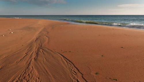 La Rose Allass - Foto 2