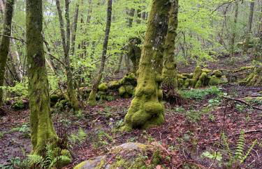 Casa Sapita - Foto 35