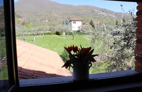 Agriturismo IL CASTAGNETO - Foto 35