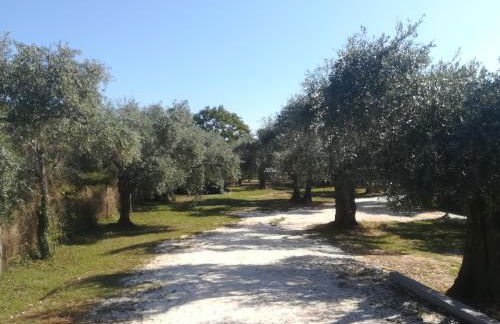 Lucia's Home - Foto 20