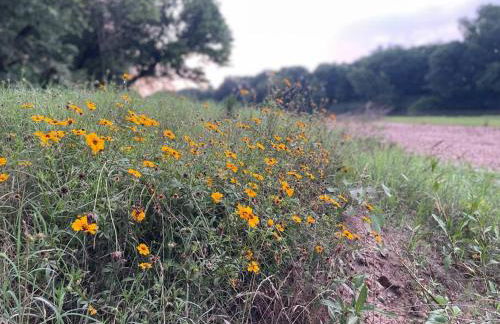 Colorado river access, game room & swimming pool - Photo 56