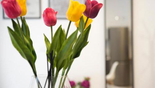 STUDIO 9 APARTAMENTO SEVILLA - Foto 2