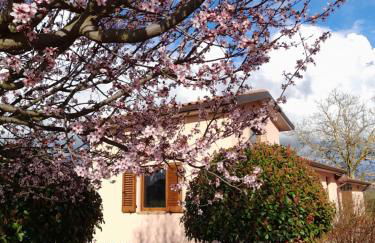 Montepulciano - La Casetta del Pian delle Noci - Foto 14