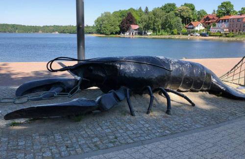 Apartament Pod Kasztanami - BIAŁY - Foto 33