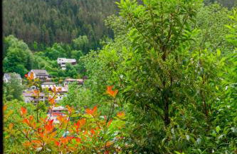 Kurpark Apartment, Schwimmbad, Sauna, Terrasse - Foto 24