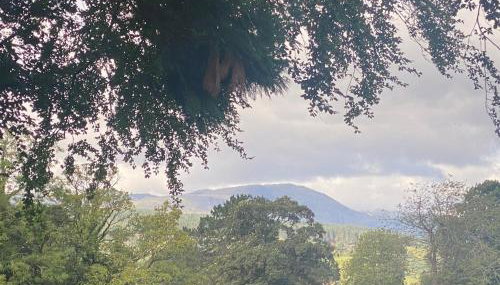 Hot-tub Hideaway - Photo 4