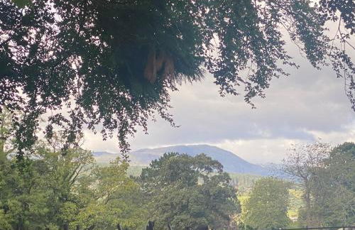 Hot-tub Hideaway - Foto 4