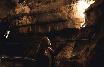 Le petit Nid Rouge - Foto 45