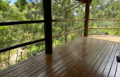 Chácara das Araucárias - Foto 7