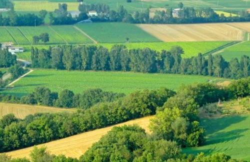 Holiday Home Montebello by Interhome - Foto 19