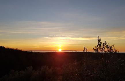 Il Panorama - Foto 1