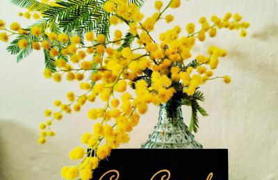 Can Costals Olivo - Foto 8