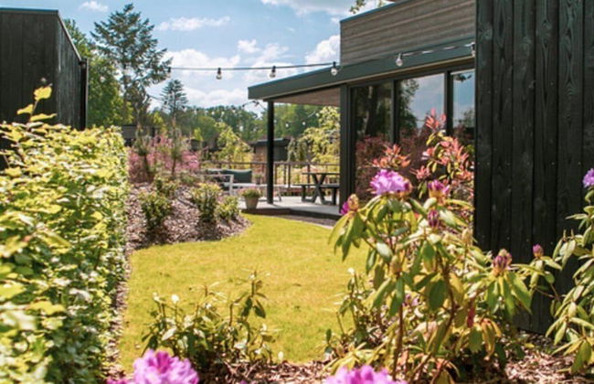 Soof Heuvelrug - Photo 2