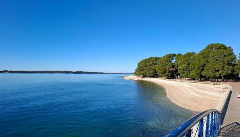 Romantic Apartment Flower - Photo 3