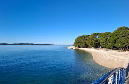 Romantic Apartment Flower - Photo 3