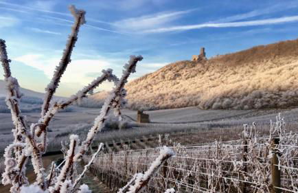 Gite Du Rittersberg - Foto 40