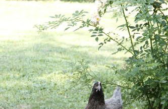 Wohnung für 12 Personen mit 6 Bädern - Photo 12