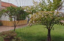 La Finca III - Foto 9