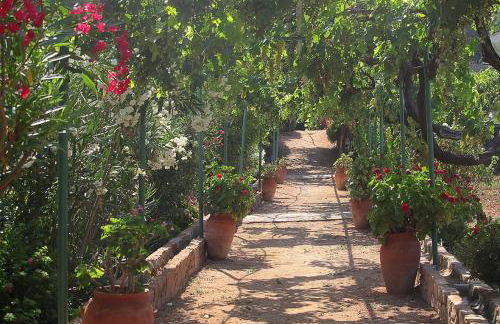 Venetis Luxury Apartments - Photo 11